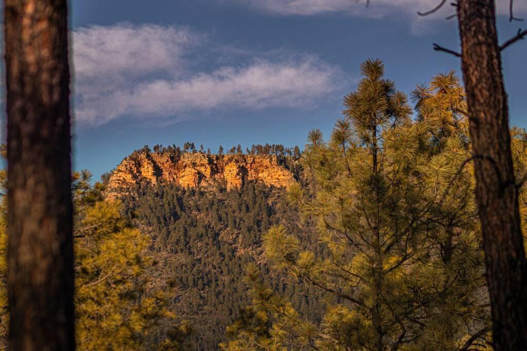 Forest Cabin 5 Old Glory Payson Εξωτερικό φωτογραφία